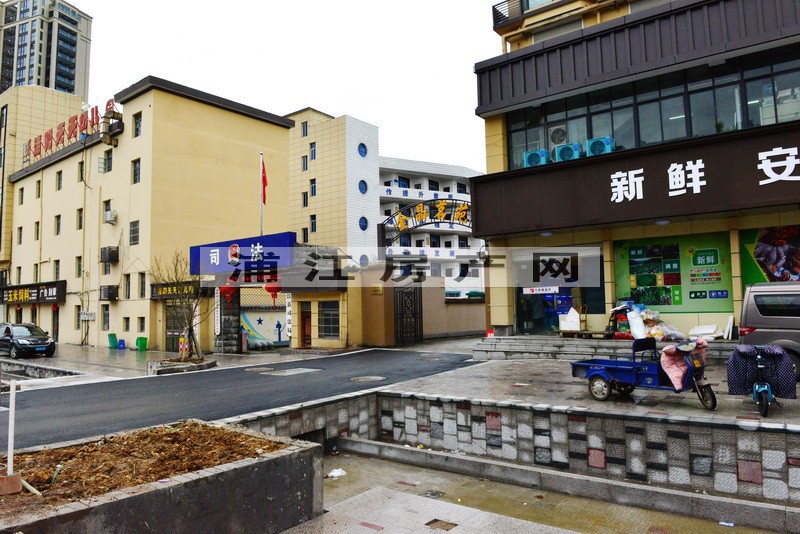 实景图