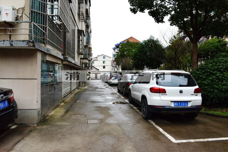 实景图