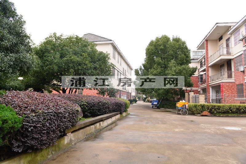 实景图