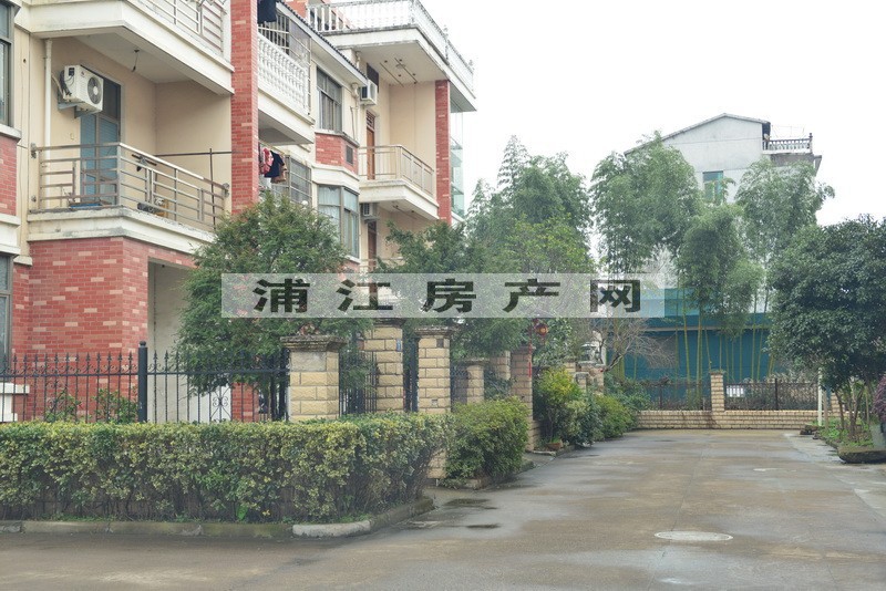 实景图