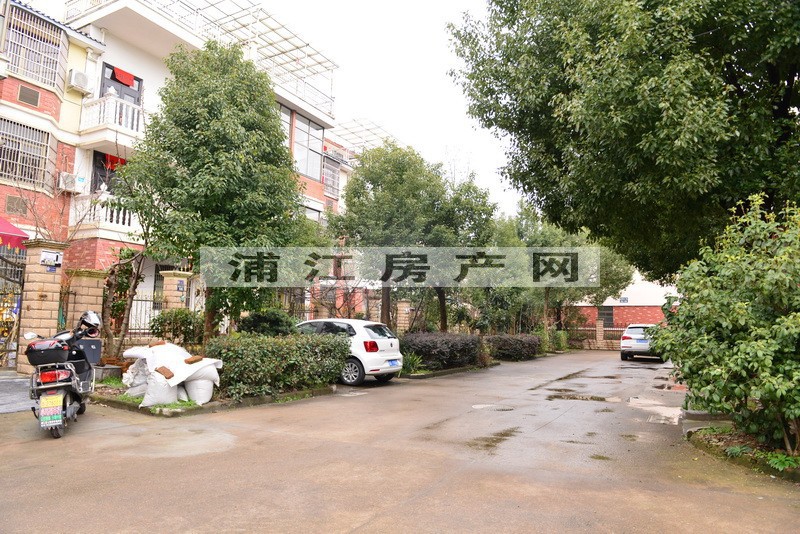 实景图