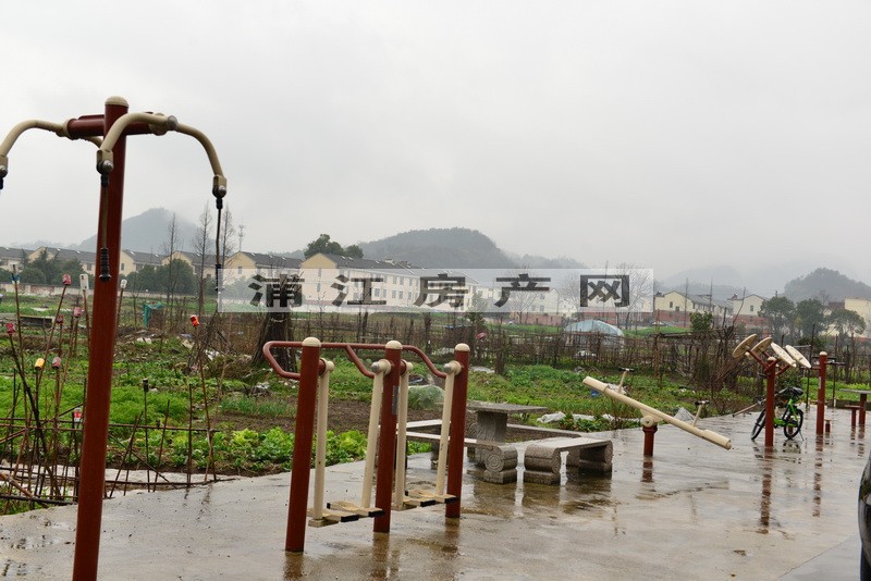 实景图