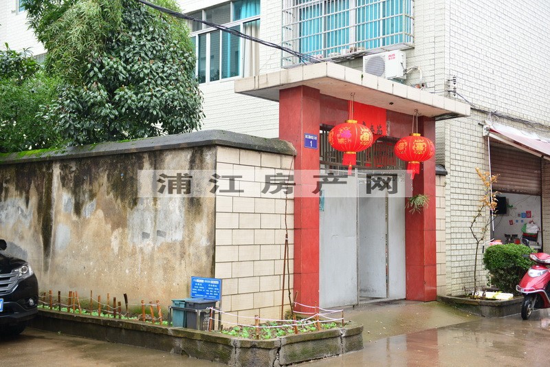 实景图