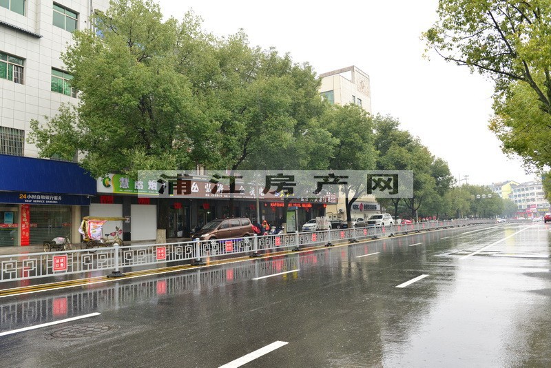 实景图