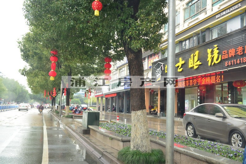 实景图