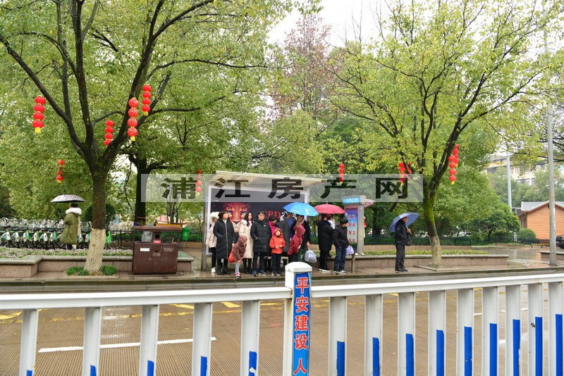 实景图