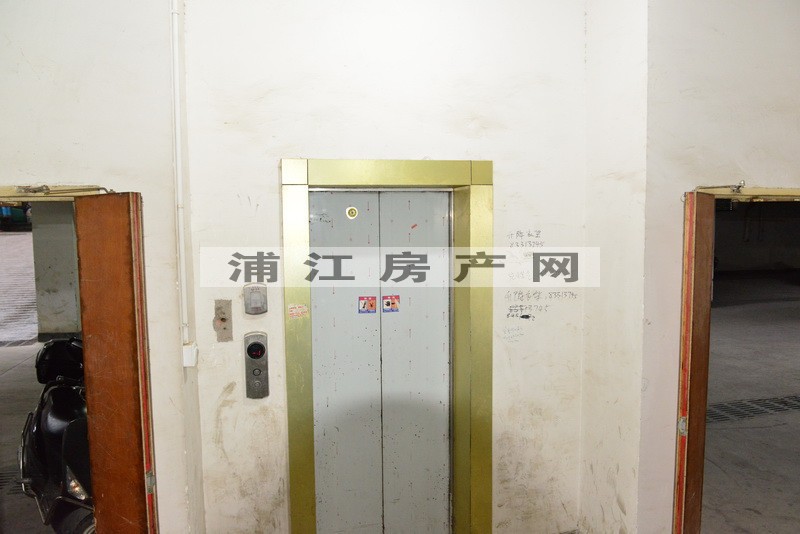 实景图