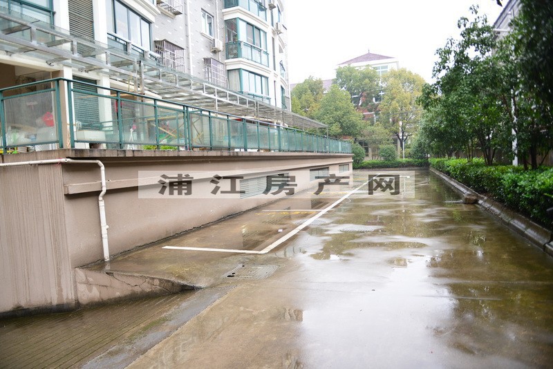 实景图