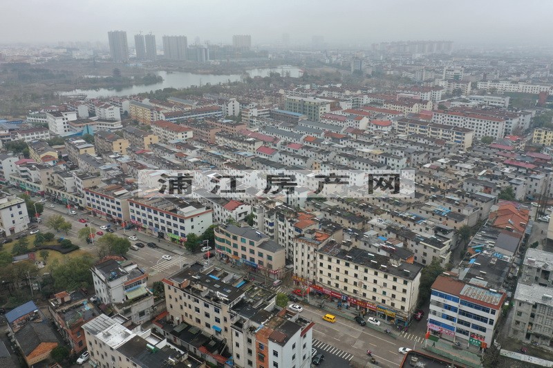 实景图