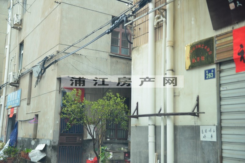 实景图