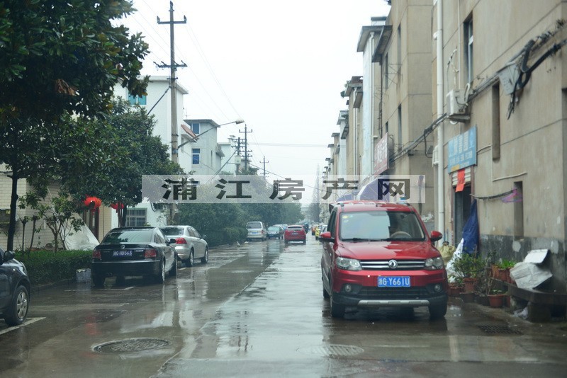 实景图