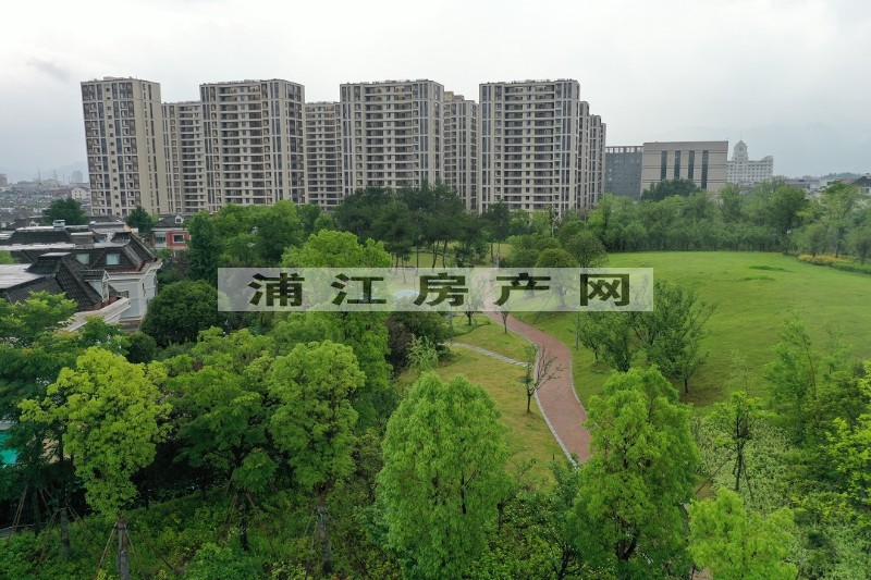实景图