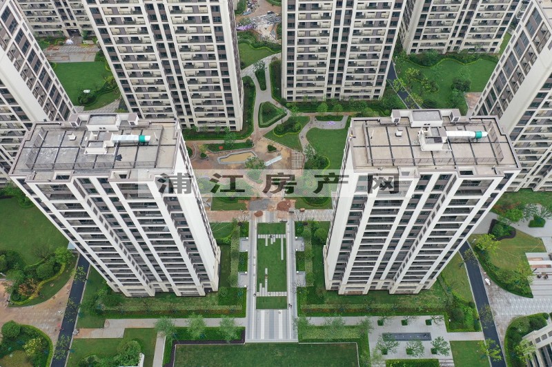 实景图